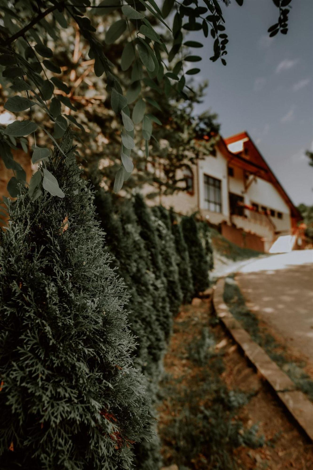 Pensiunea Poiana Verde Слэник-Молдова Экстерьер фото